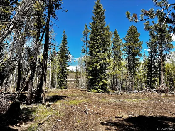 84 Muhly Court LOT 53, Fairplay, CO 80440