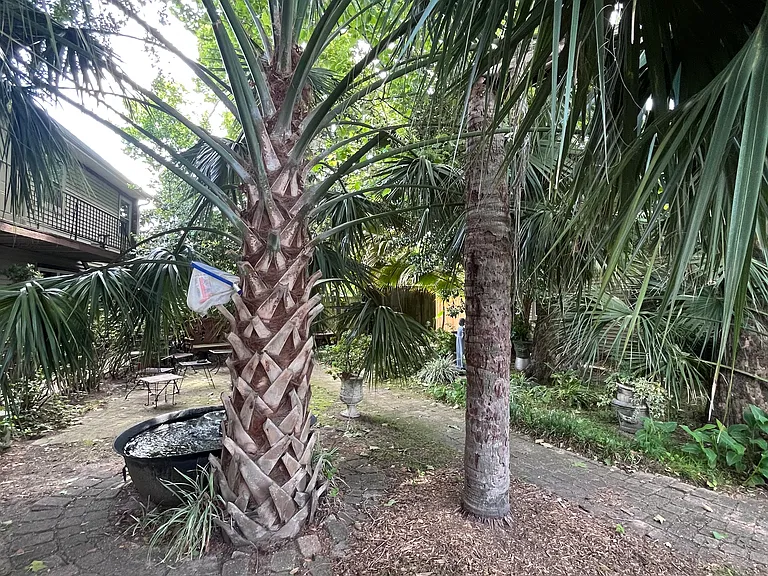2813 River Rd #A — Photo 23