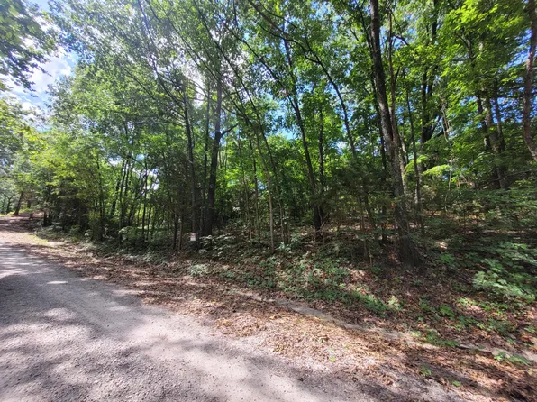 000 Tower Rd, Ridgedale, MO 65739