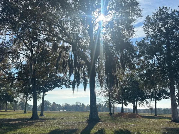 State Route 85 Lake, Laurel Hill, FL 32567