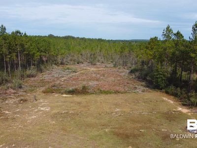 26641 Linholm Rd, Robertsdale, AL, 36567