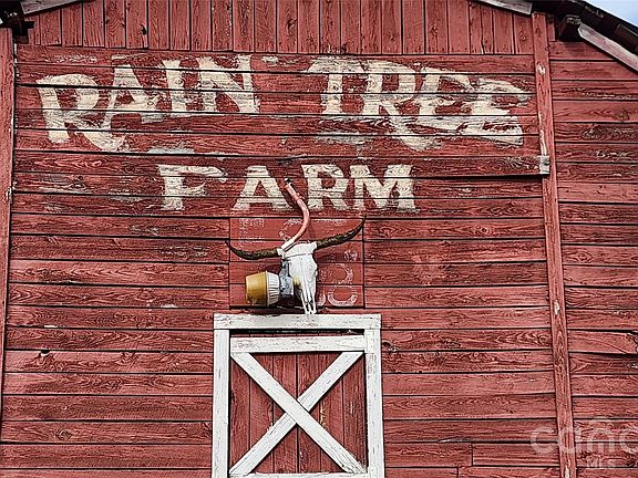 3rd image of 9 Raintree Farm Ln