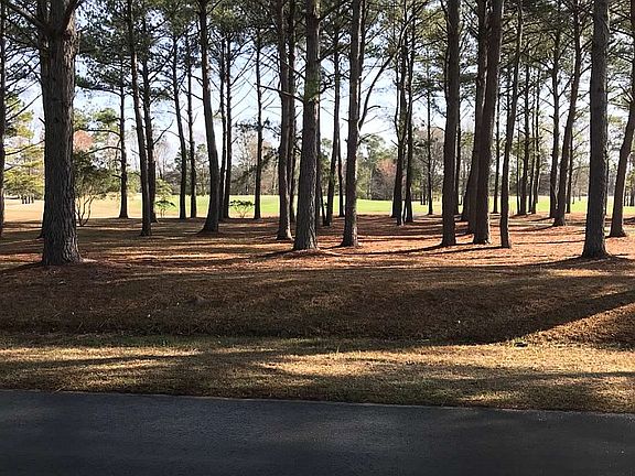 from front, green in back