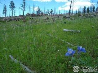 2025 Granite Rd, Bellvue, CO 80512