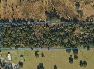 405 SE County Rd, Mayo, FL 32066