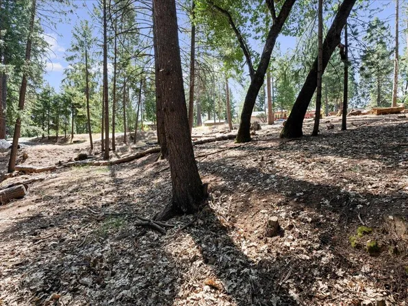 5521 Begonia Dr, Pollock Pines, CA 95726