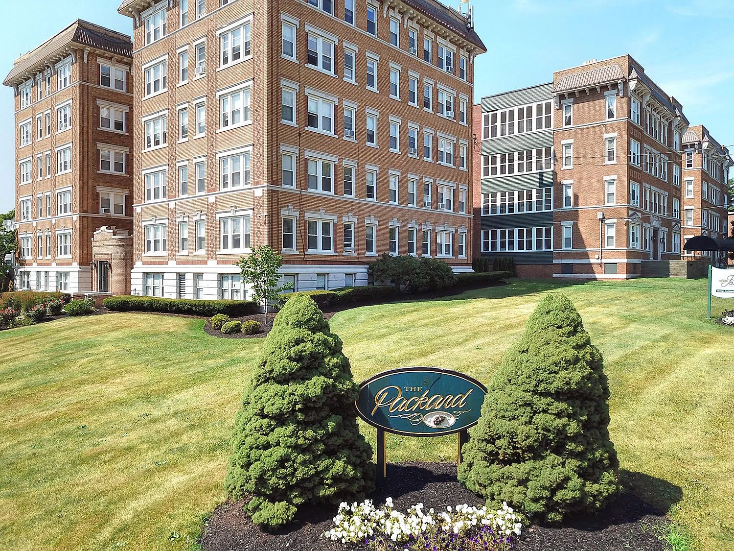 Packard West Hartford — Photo 4