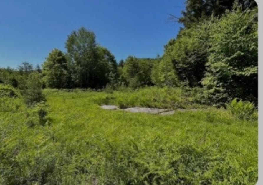 1st image of 0 Alder Plains Road