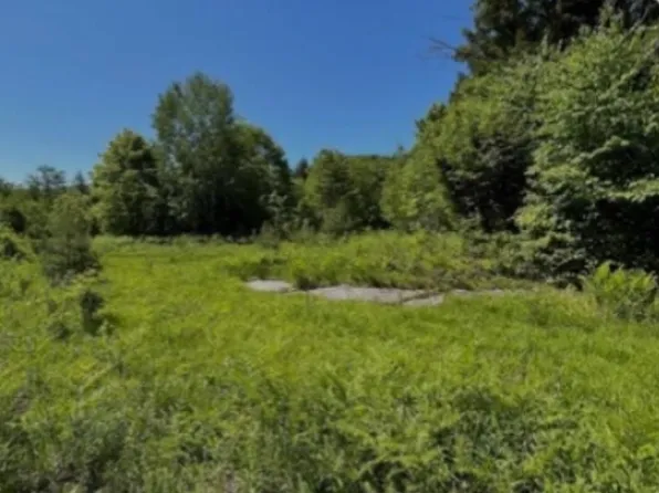 0 Alder Plains Road, Bradford, NH 03221