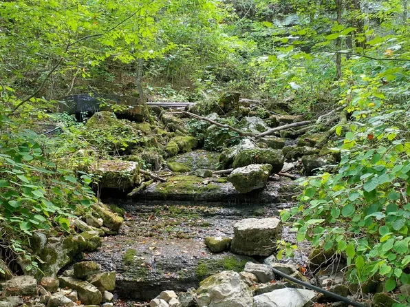 7659 Burks Rd, Christiana, TN 37037