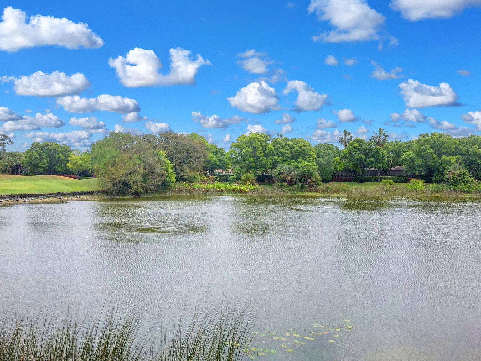 10499 Laurel Estates Ln