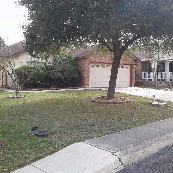 1st image of 7111 Crested Quail