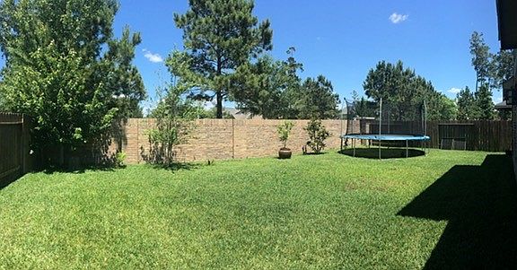 Back yard