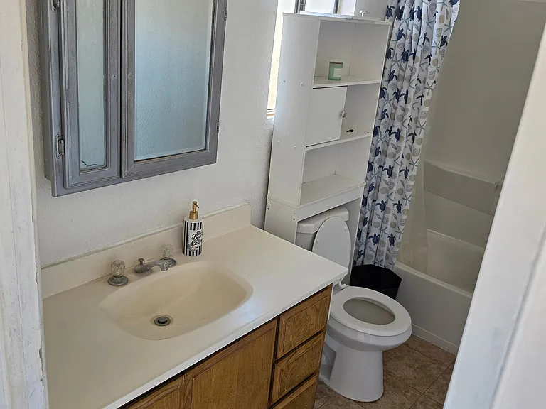 Master bathroom