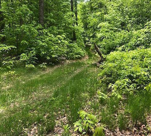 4th image of Lime Kiln Point Dr