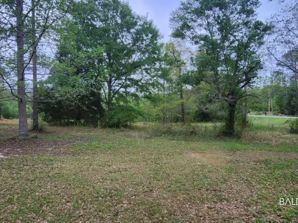 24407 Patterson Rd, Robertsdale, AL 36567