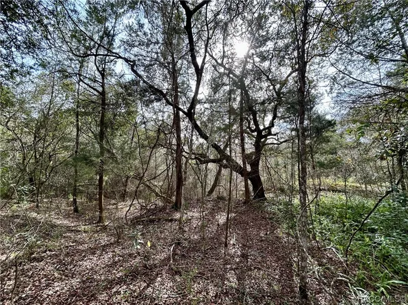 0 N Coloxa Point, Floral City, FL 34436