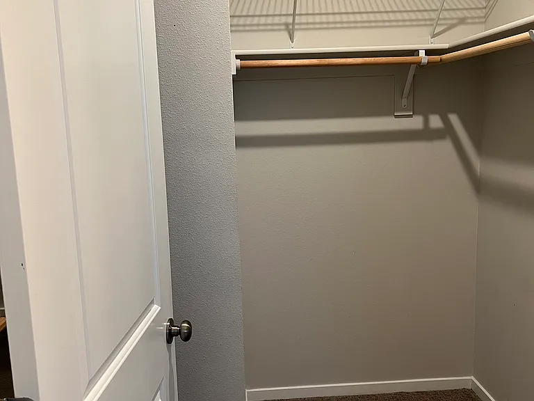 walk-primary closet
