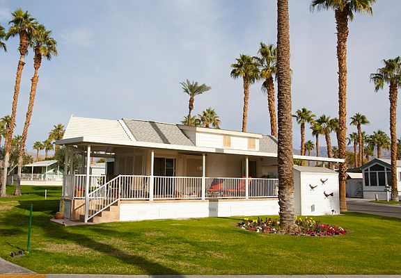 Lot 493