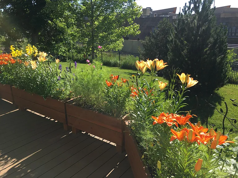 Front deck.