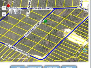 Little Stone Dr, Webster, FL 33597