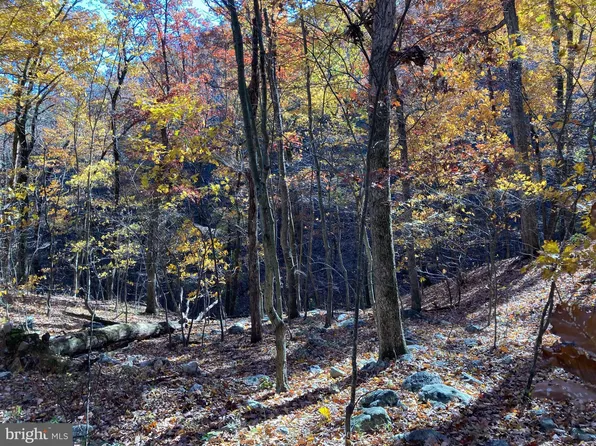 Panorama View Dr, Stanley, VA 22851