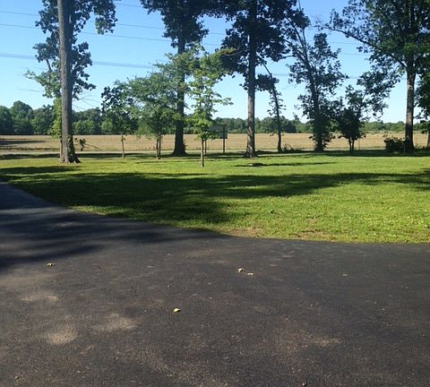 View of driveway to Sycamore
