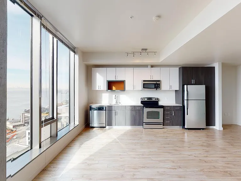 Apartment kitchen with stainless steel appliances, dining and living room with wood-style flooring and floor-to-ceiling windows.