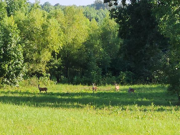 4th image of 150 County Road 794