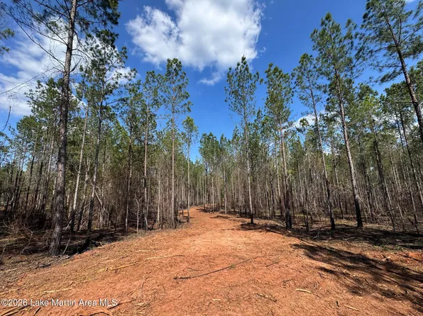 58/AC Barrons Bridge Rd, Dadeville, AL 36853