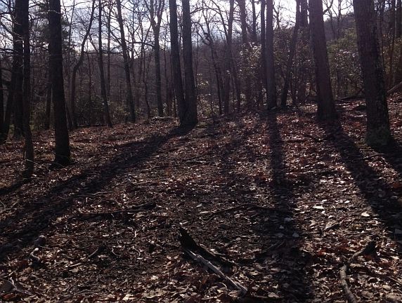 5th image of 2421 Jackson Dr