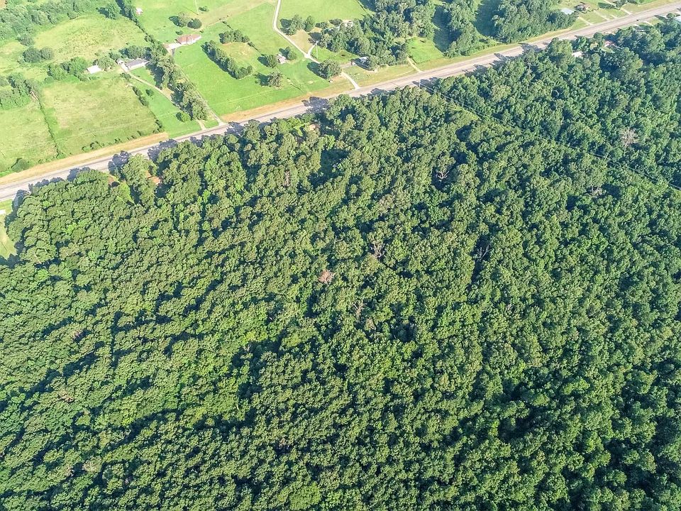 1st image of Highway 259 & Sego Lily Rd