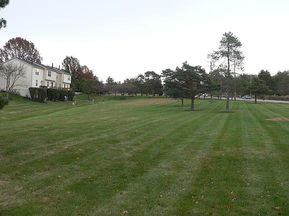Large Common Outdoor Greenspace