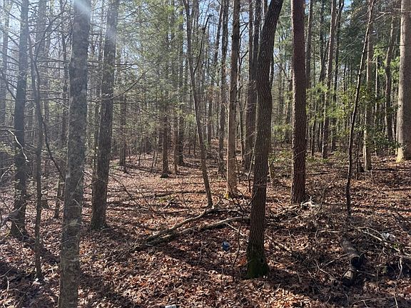 5th image of 1156 Liberty Rd