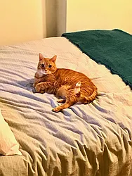 Rented by Boerum Hill Realty