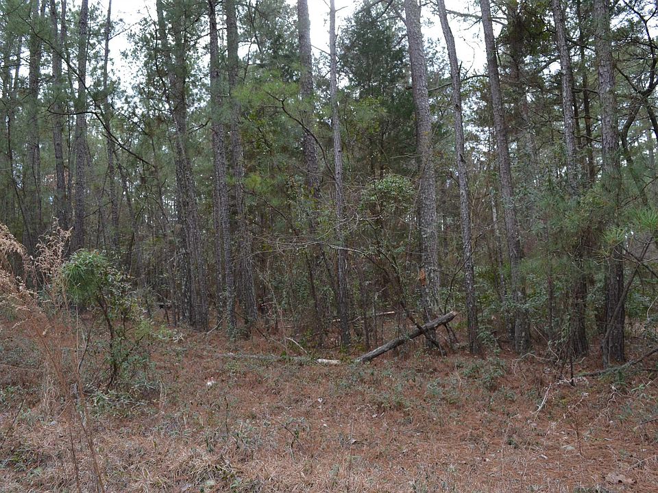 2nd image of 1909 Whitting Green Ln