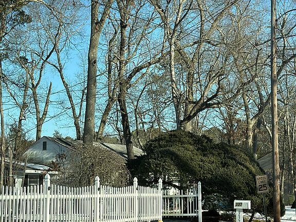 3rd image of 339 Blenheim Ave
