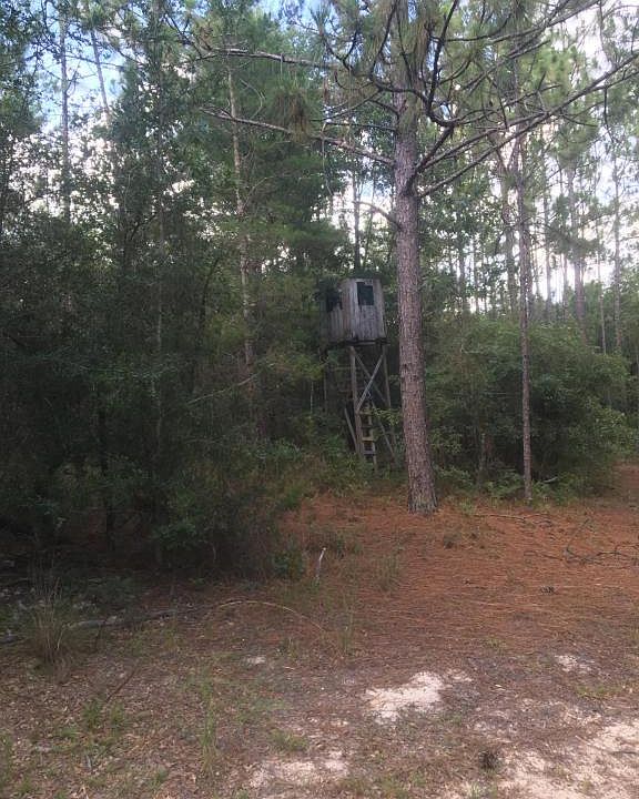 Hinote Rd, Mossy Head, FL 32434 Zillow