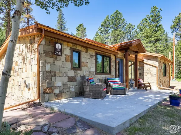 256 Fisk Fenner Rd, Allenspark, CO 80510