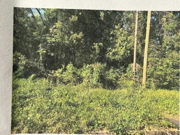 1614 Wardwood Dr, Mobile, AL 36605