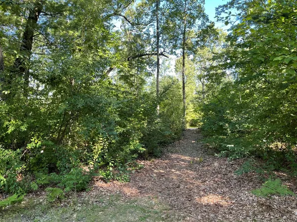 Vegas Ct, Prudenville, MI 48651