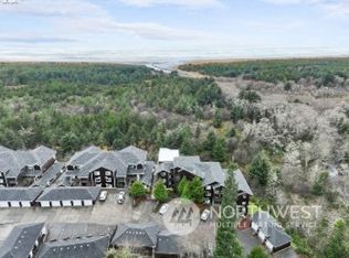 2815 Willows Rd #337, Seaview, WA 98644