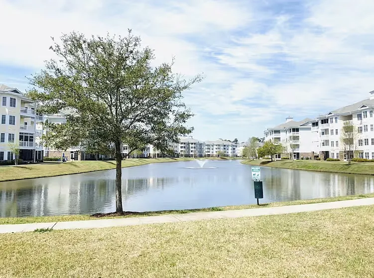 3 bed, 1450 sqft, $2,500 — Photo 4