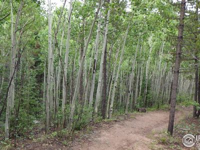 60 Comanito Ct, Red Feather Lakes, CO, 80545