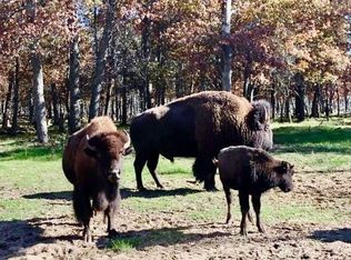 4681 Stickfort Rd, Lewiston, MI 49756