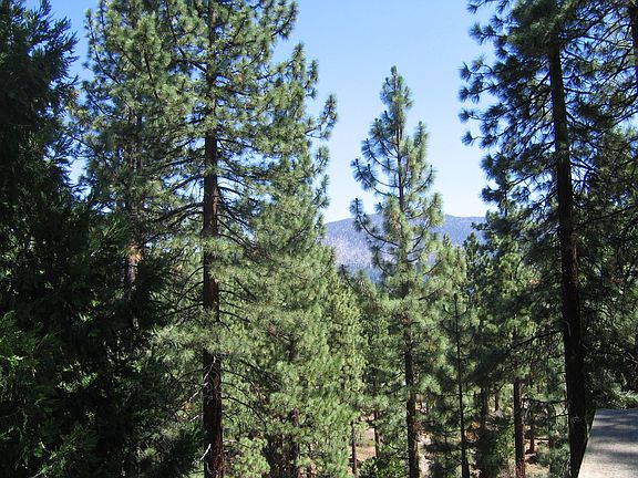 View of East Peak mountain from back deck.