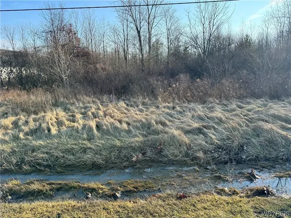 Townline Rd #55, Ransomville, NY 14131