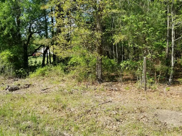 0 Belton Ln, Ruffin, SC 29475