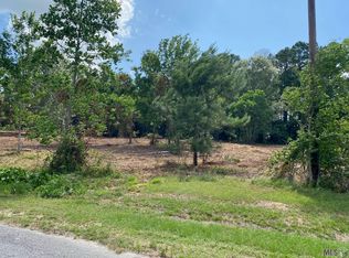 18389 Amite Acres Dr, Prairieville, LA 70769