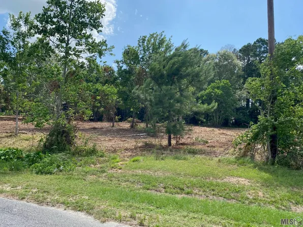 18389 Amite Acres Dr, Prairieville, LA 70769